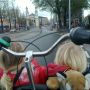 On our way to Nemo