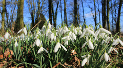 Beetje lentegevoel vandaag #buienradar