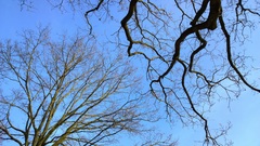 Stralend mooie zonnige dag vandaag in Maasgouw / Sint Joost (Limburg)
27/2/2016 
16:10 
7 graden Celcius #buienradar