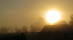 Zonsopkomst in nevel,belooft een mooie dag te gaan worden #buienradar