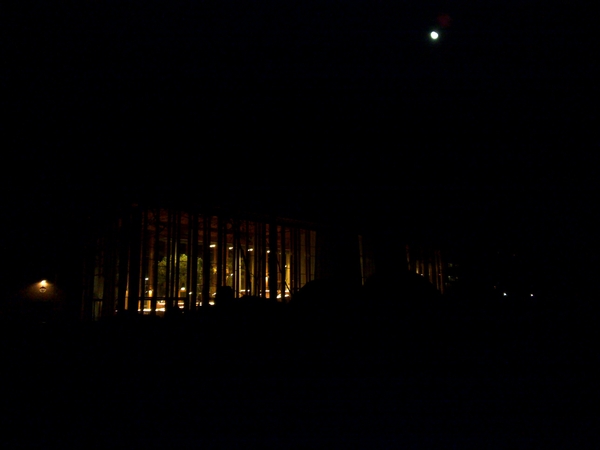 Artis by night #n8 #artis