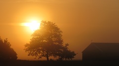 Zonsopkomst in nevel en grondmist na een frisse nacht met aan de grond slechts 4,4 graden. #buienradar