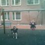 Exploring the neighbourhood