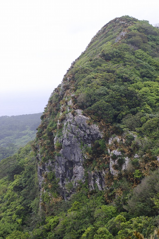 最北端