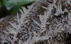 ook de vorst was er weer 7 dec #buienradar