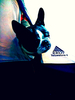 B6414c16b7b5ba02bd785113cd121e72_thumbnail