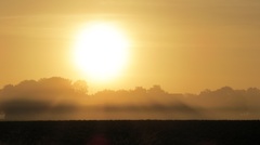 Opkomende zon in nevel gehuld #buienradar