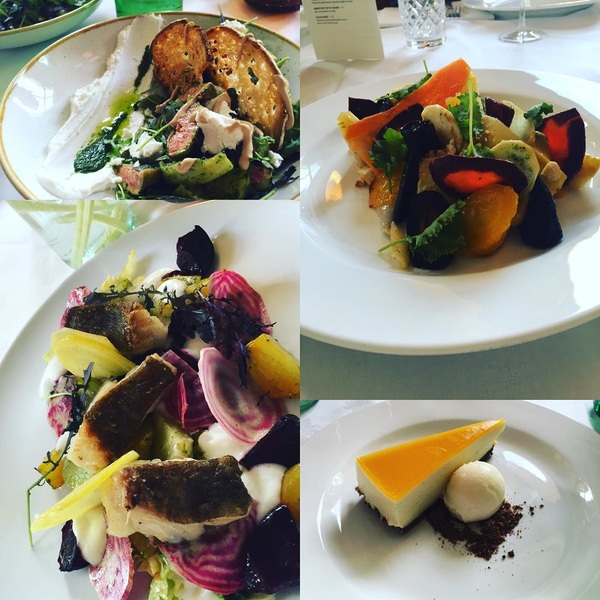 wat is een lekkere lunch