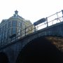 Plants on the bridge