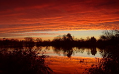 morgenrood 7 dec #buienradar